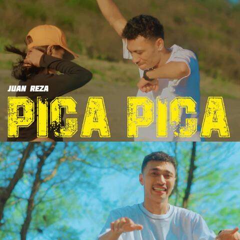 PICA PICA