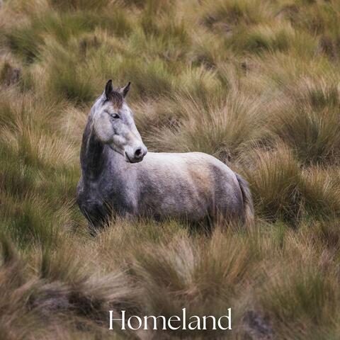 Homeland (Theme from "Spirit: Stallion Of The Cimarron")