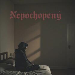 Nepochopený