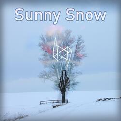 Sunny Snow