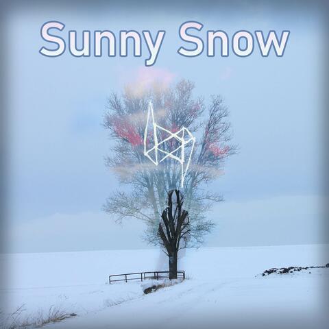 Sunny Snow