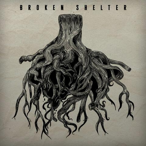 Broken Shelter