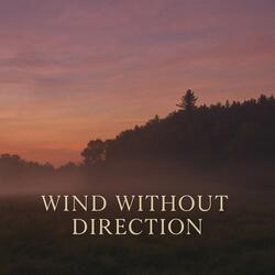 Wind Without Direction