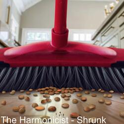 Shrunk (from "Honey, I Shrunk the Kids")