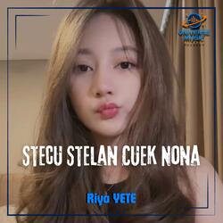 Stecu Stelan Cuek Nona