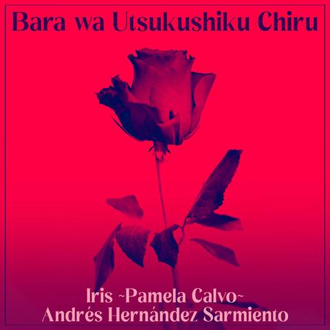 Bara wa Utsukushiku Chiru (from "Versailles no Bara")