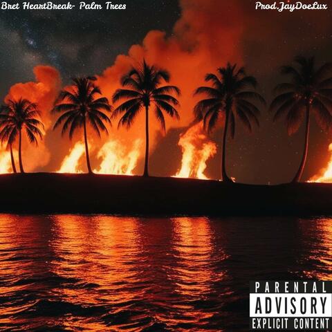 Palm Trees