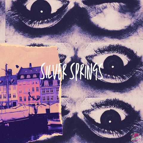 Silver Springs