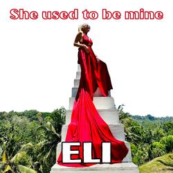 She Used To Be Mine