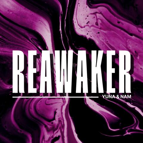 Reawaker (From "Solo Leveling")