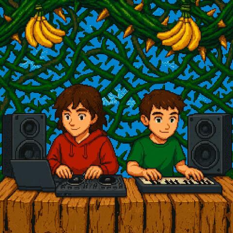 Stickerbush Symphony (From "Donkey Kong Country 2") [lofi house]