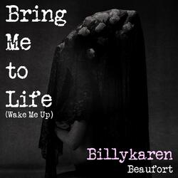 Bring Me to Life (Wake Me Up)