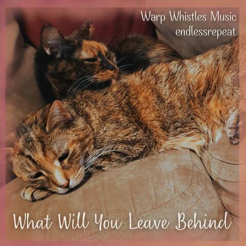 What Will You Leave Behind (From "Spiritfarer")