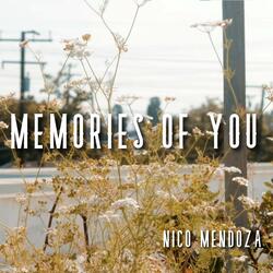 Memories of You (from: "Persona 3 Reload")