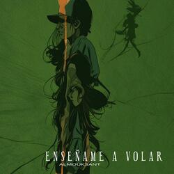 Enseñame A Volar