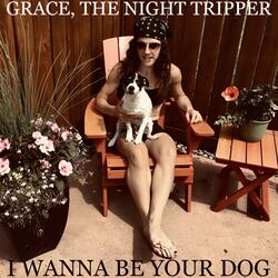 I Wanna Be Your Dog
