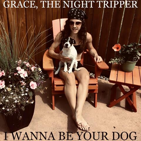 I Wanna Be Your Dog