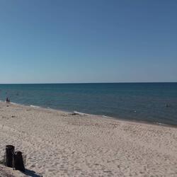 Seagulls over the Bay
