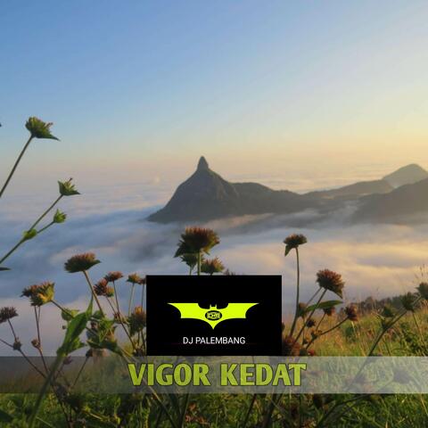 VIGOR KEDAT