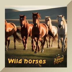 Wild horses