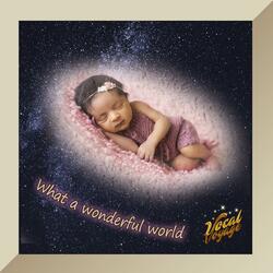 What a Wonderful World