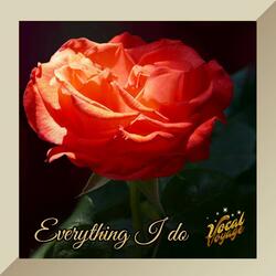 (Everything I Do) I Do It for You