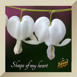Shape of my heart