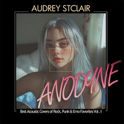 In the Aeroplane Over the Sea (acoustic cover)