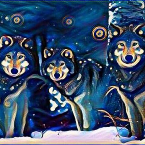 Wolf Trio