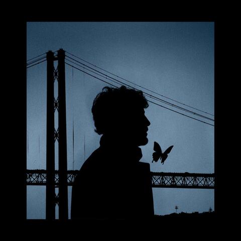 Butterfly on the Bridge