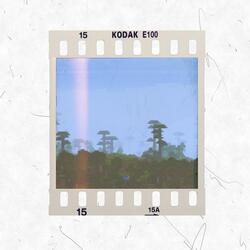 Minecraft Theme Song