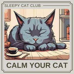 Calm Cat Vibes
