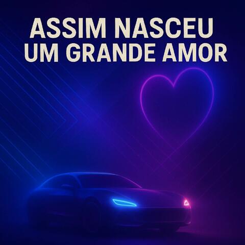 Assim nasceu um grande amor