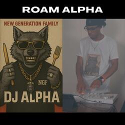ROAM Alpha