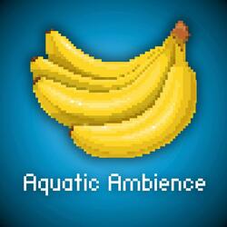 Aquatic Ambience (from "Donkey Kong Country")