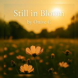Still in Bloom