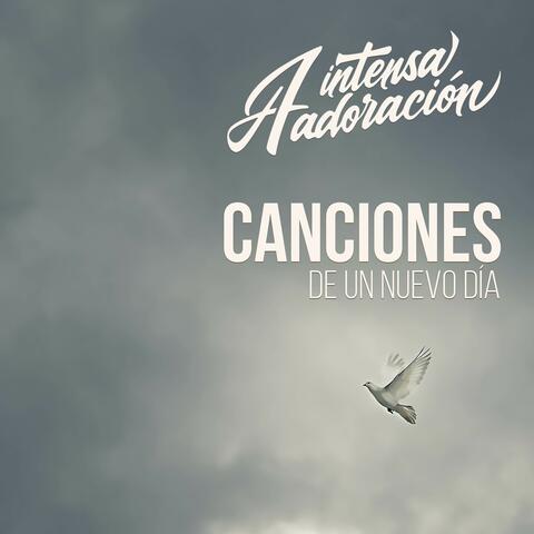 Mi primer pensamiento