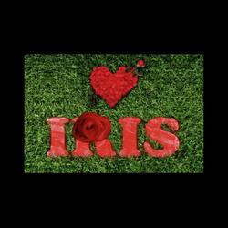 우리의 마음이 노래가 될때