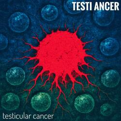 Testicular Cancer