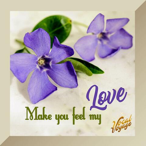 Make you feel my love