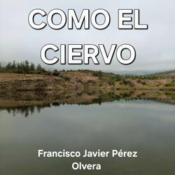 Como el Ciervo