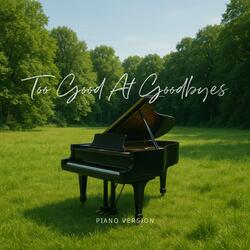 Too Good At Goodbyes