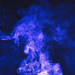 Whispers on the Shore