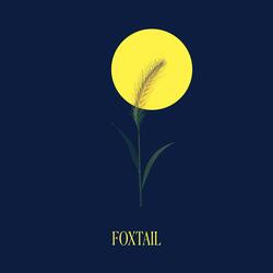 Foxtail
