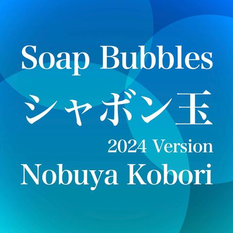 Soap Bubbles