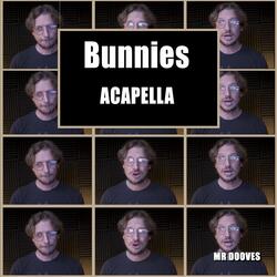 Bunnies (From "Bunnies on a trampoline TikTok")