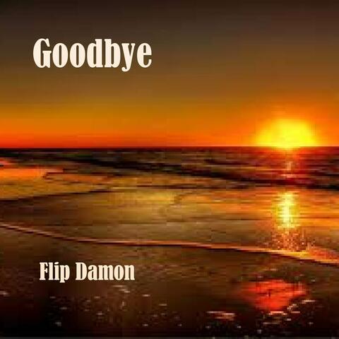 Goodbye