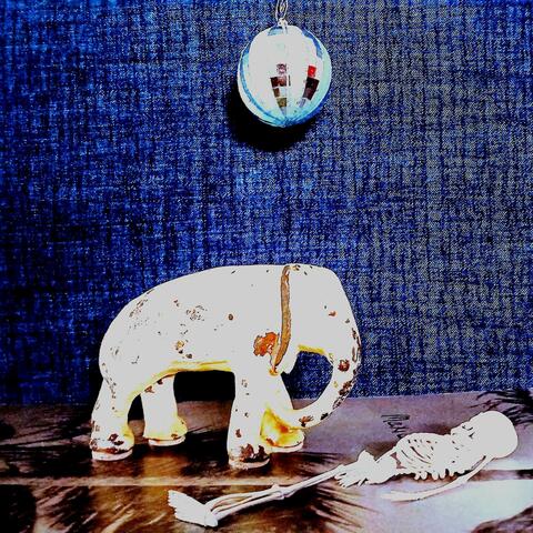 Dance The Night Away