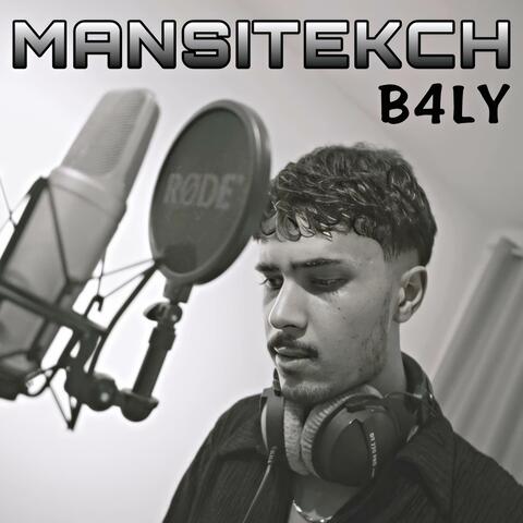 Mansitekch