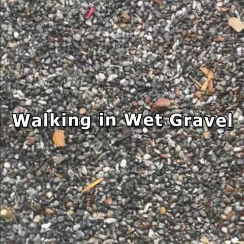 Walking in Wet Gravel